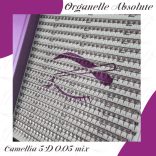 Promade 5D Mix ABSOLUTE CAMELLIA