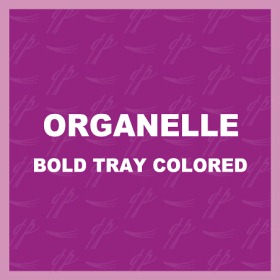 Organelle BOLD Tray Colored