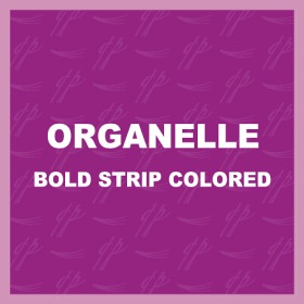 Organelle BOLD Strip Colored