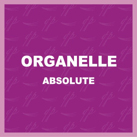 Organelle ABSOLUTE